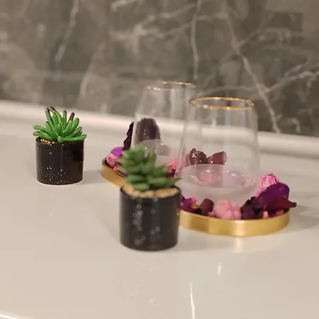 Corporate One Pipera Luxury Daire